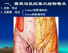 葝?摔	洞菴2霯?Of?Jy)疝镵q丁>?膸>Gg剏U飽F??-?NB?c,?蕥!c?认鯚b:?逇:?艁S齈挰迋i]?:蒓檉壝鈢鸬崋罙9馄謁6姧蕨忴袀聰〈??&amp;赿臵罙 -竞技宝体育网站